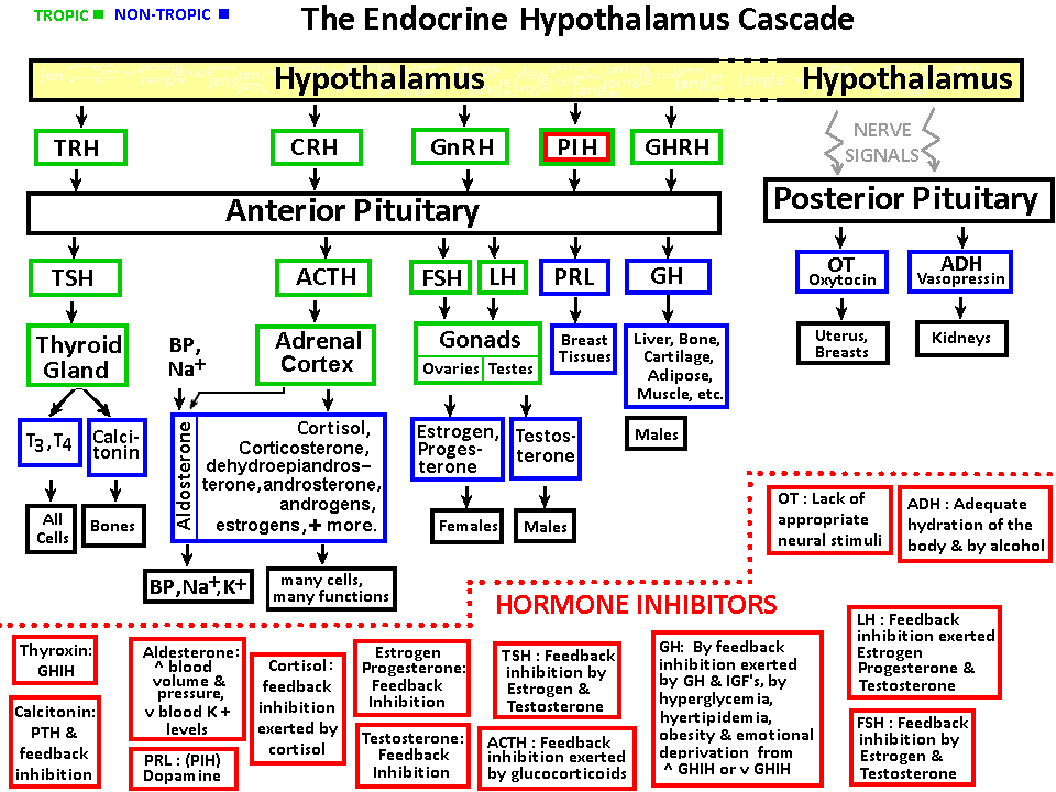 SORRY, NO IMAGE AVAILABLE